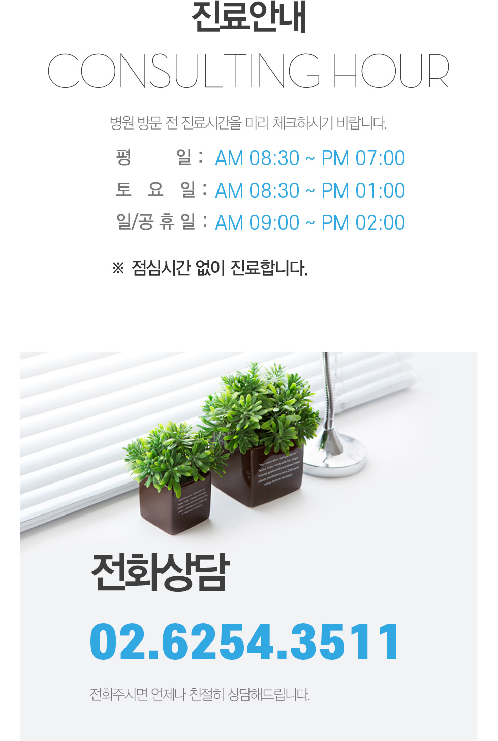 성모하나내과 서초 진료시간 및 전화