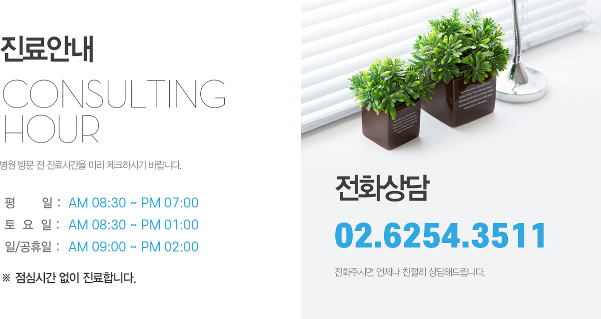 성모하나내과 서초 진료시간 및 전화